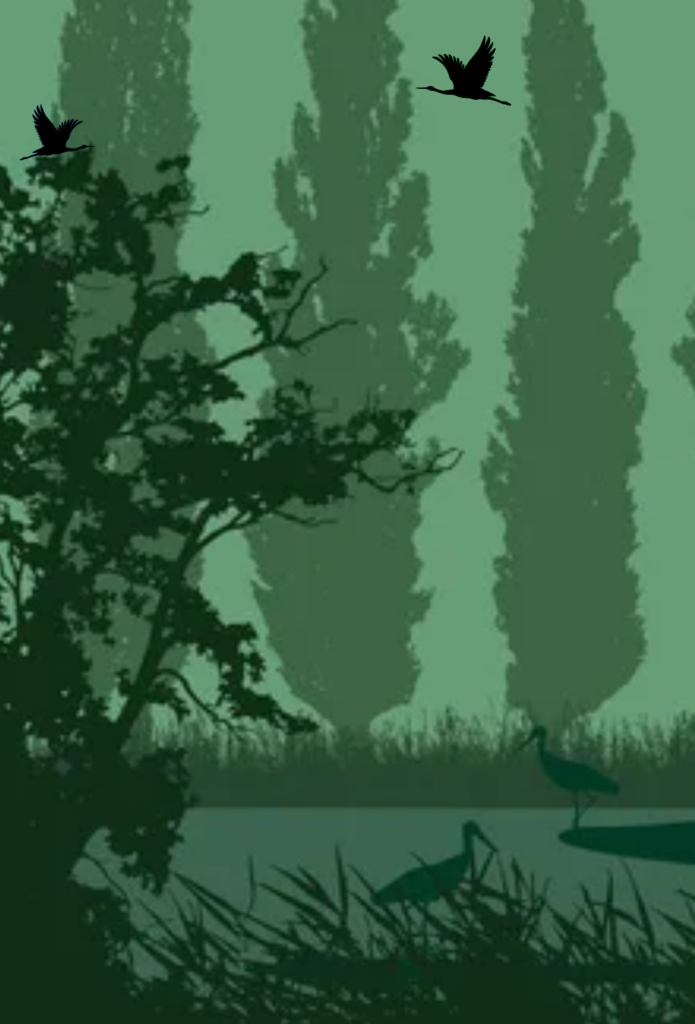 Photo LA GRIPPERIE ST SYMPHORIEN